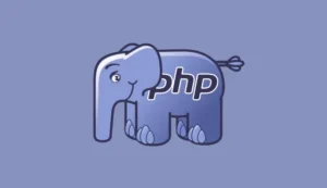 PHP Projects Development Center in Trichy & Salem | Crisp Systems